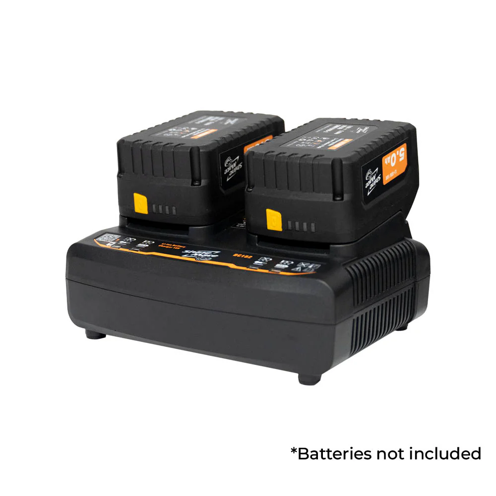 ShineMate Lithium Battery Charger - Image 2